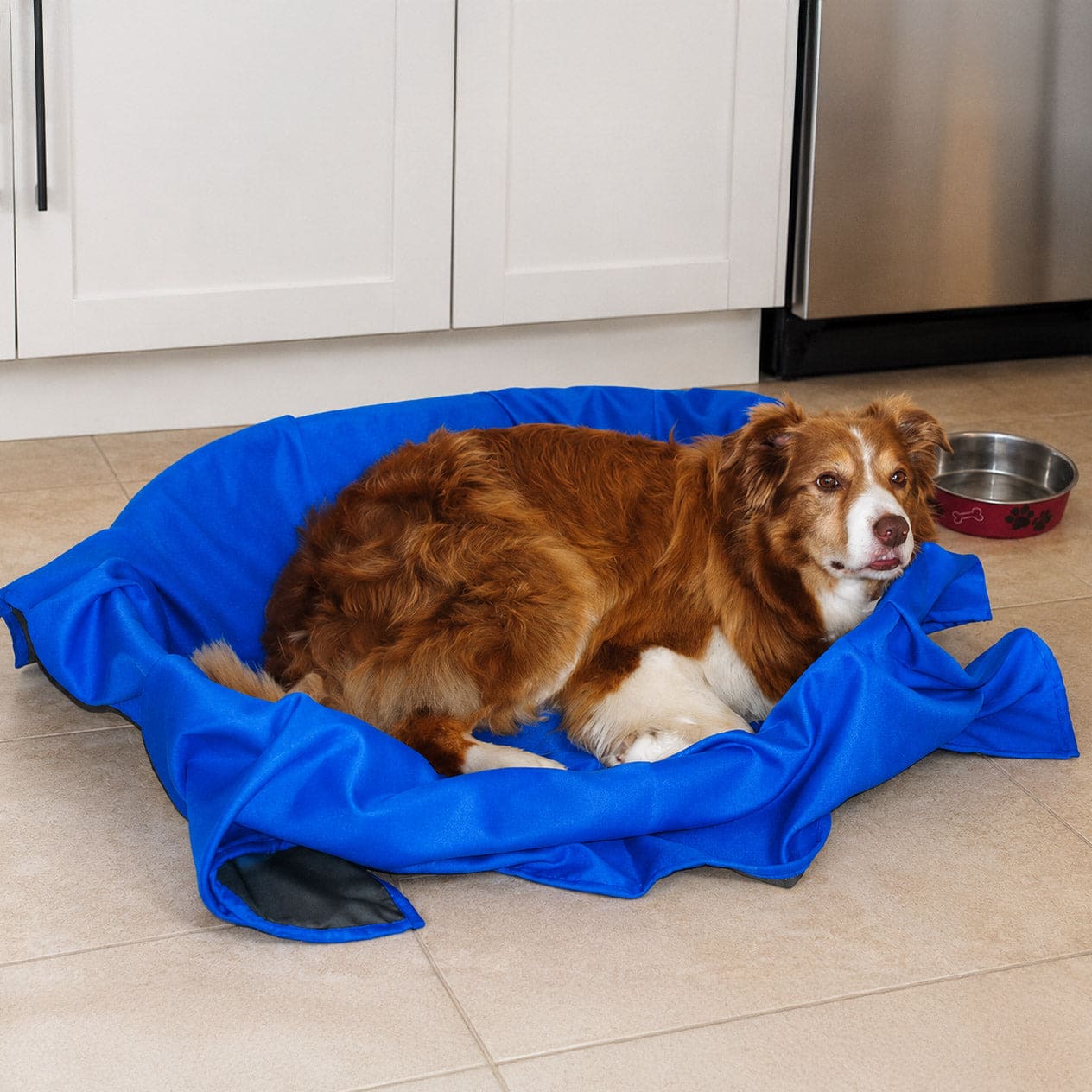 Fur-Smart Cover